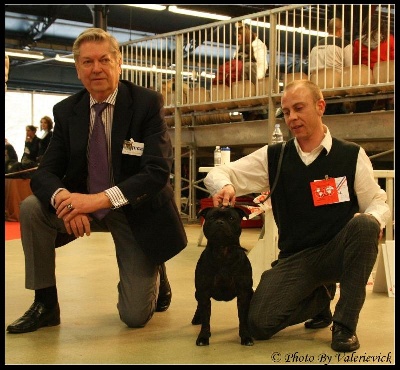 d'Alassea Seregone - Paris Dog Show 2010